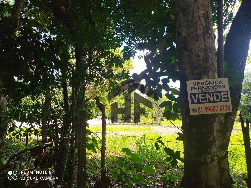 Terreno, 5000 m² - Foto 2