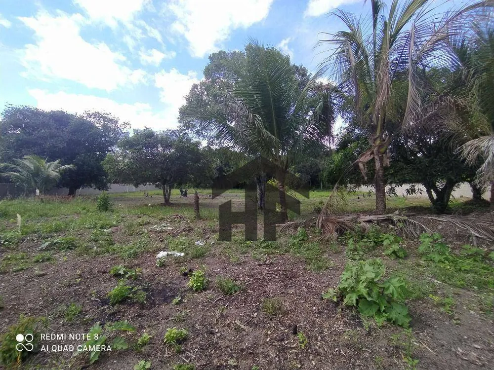 Terreno, 5000 m² - Foto 3