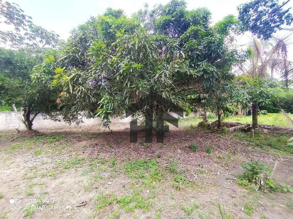 Terreno, 5000 m² - Foto 14