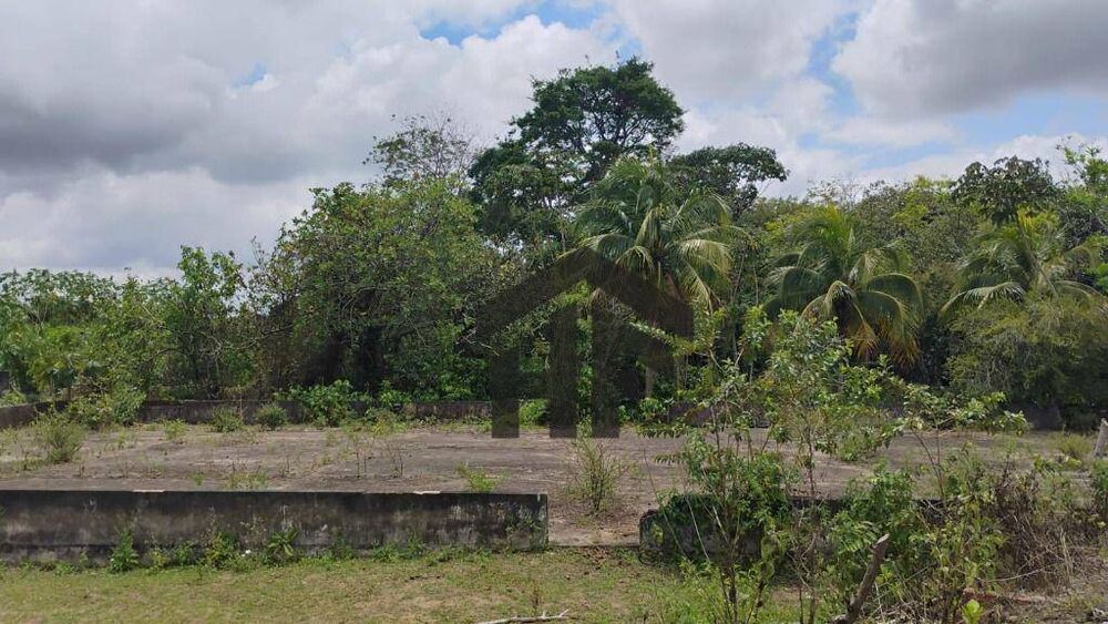 Terreno, 5000 m² - Foto 6