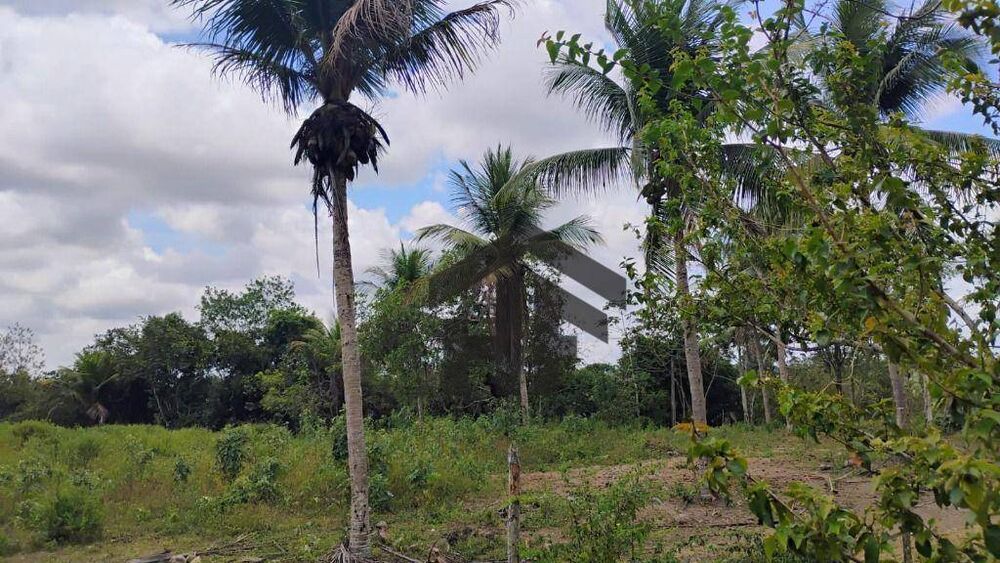 Terreno, 5000 m² - Foto 11