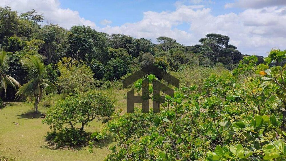 Terreno, 5000 m² - Foto 7