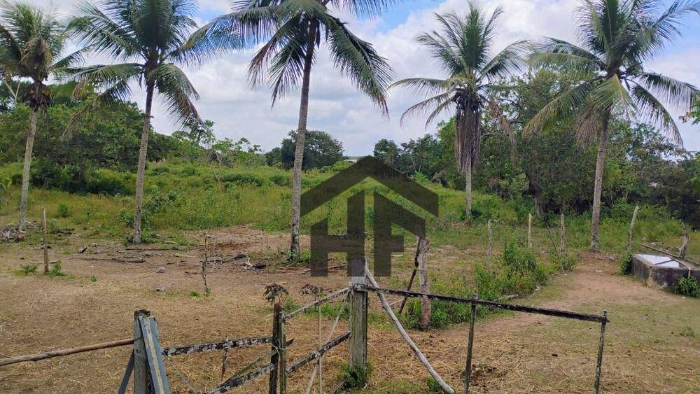 Terreno, 5000 m² - Foto 16