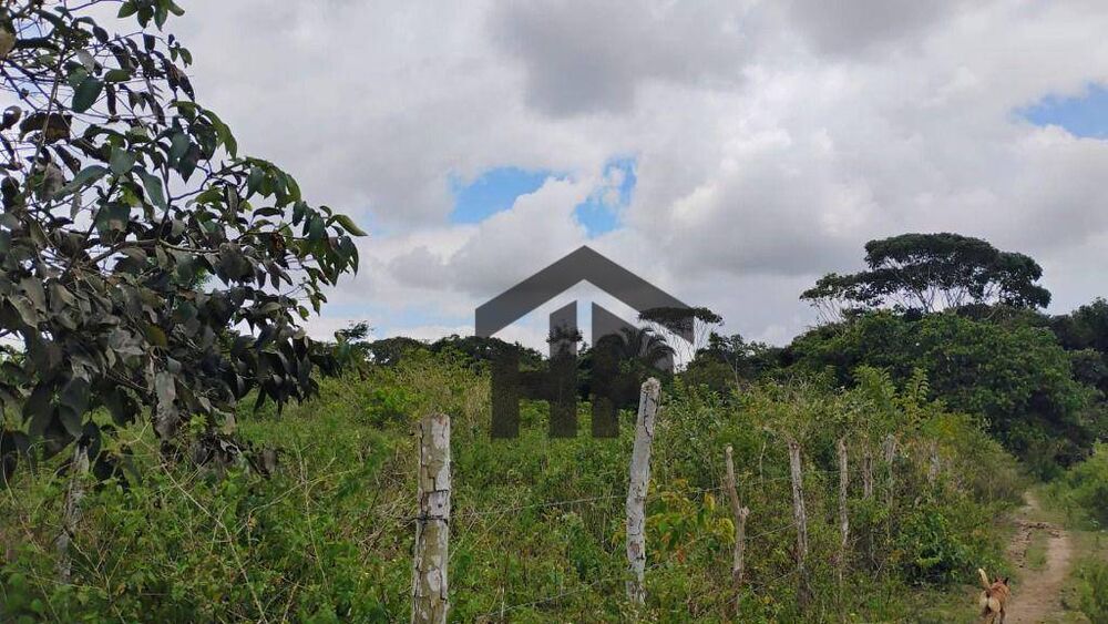 Terreno, 5000 m² - Foto 10