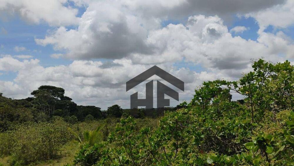 Terreno, 5000 m² - Foto 5