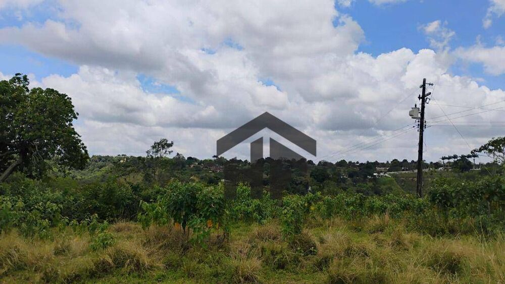 Terreno, 5000 m² - Foto 3