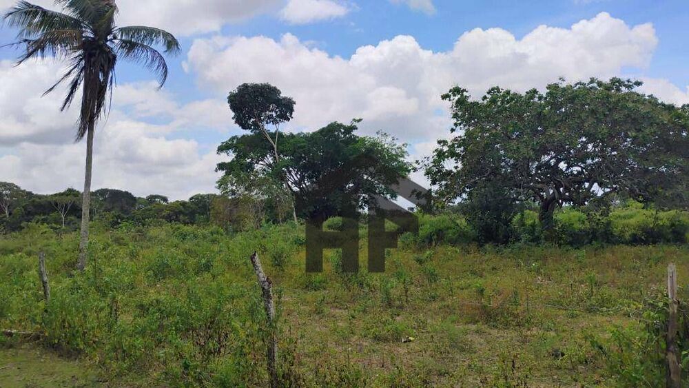 Terreno, 5000 m² - Foto 14