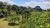 Terreno, 5000 m² - Foto 4