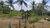 Terreno, 5000 m² - Foto 4