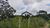 Terreno, 5000 m² - Foto 2