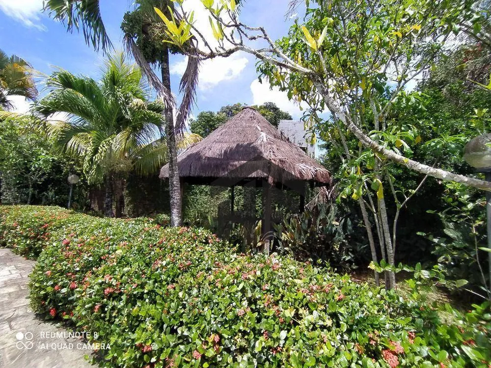 Chácara, 6 quartos, 3060 m² - Foto 7