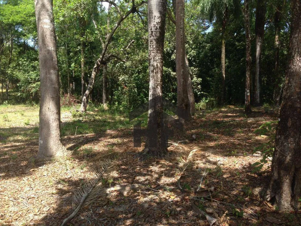 Terreno, 1 hectares - Foto 6