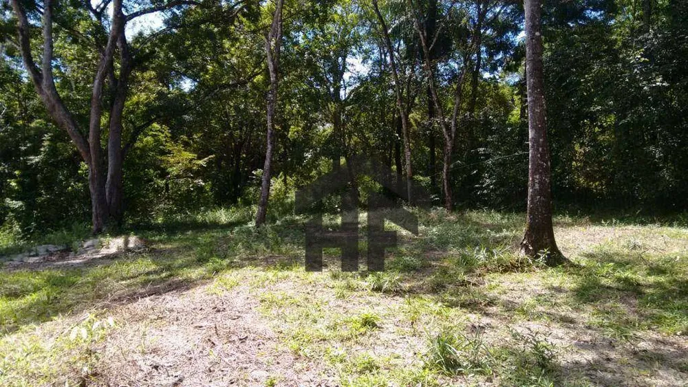 Terreno, 1 hectares - Foto 11