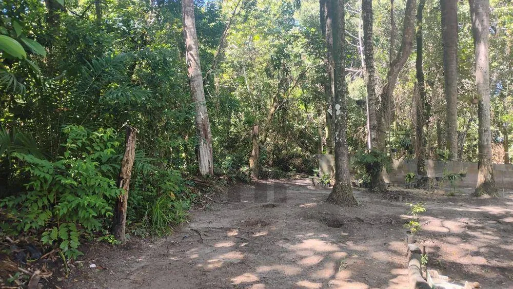 Terreno, 1 hectares - Foto 12
