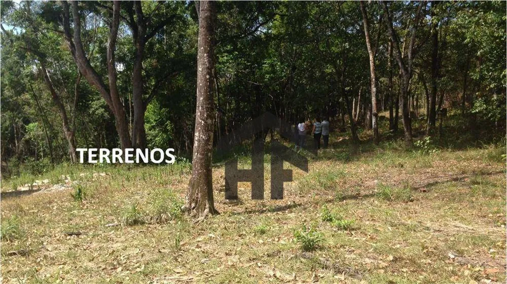 Terreno, 1 hectares - Foto 6