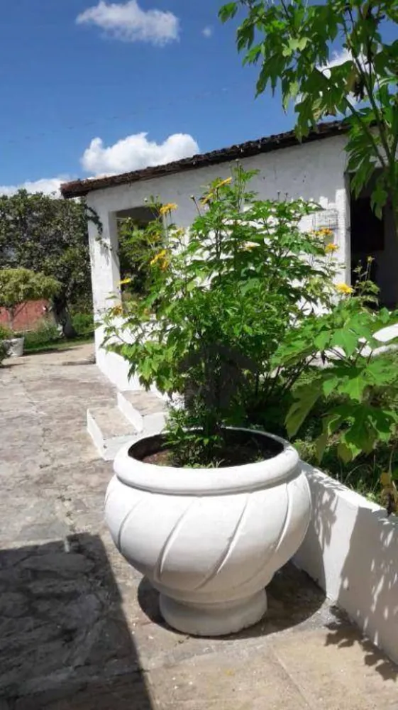 Casa, 4 quartos - Foto 6