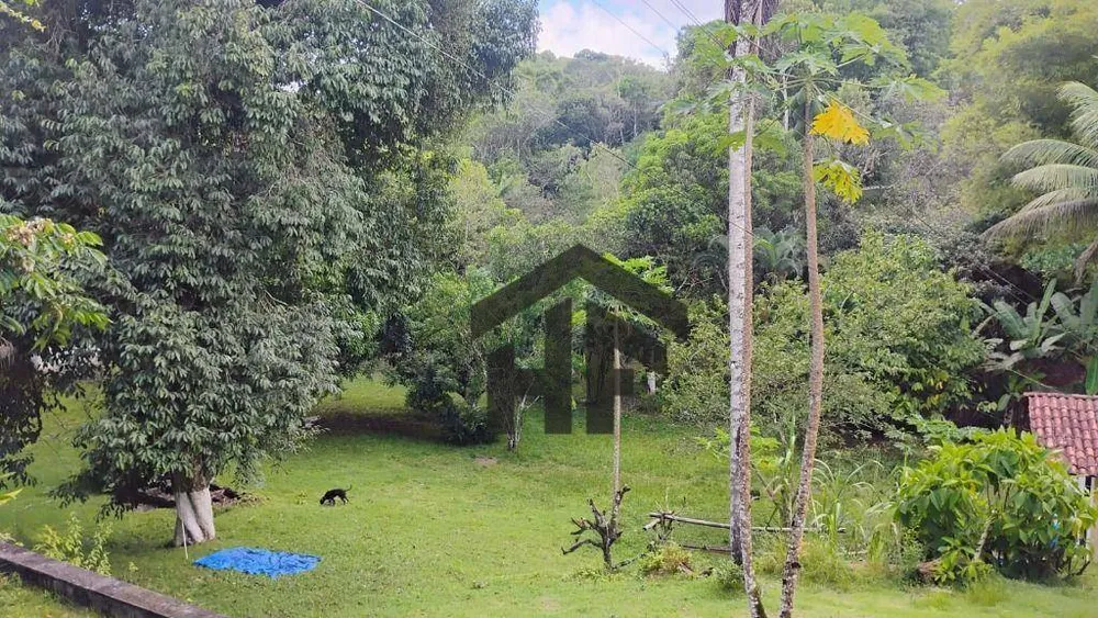 Chácara, 4 quartos, 3 hectares - Foto 2