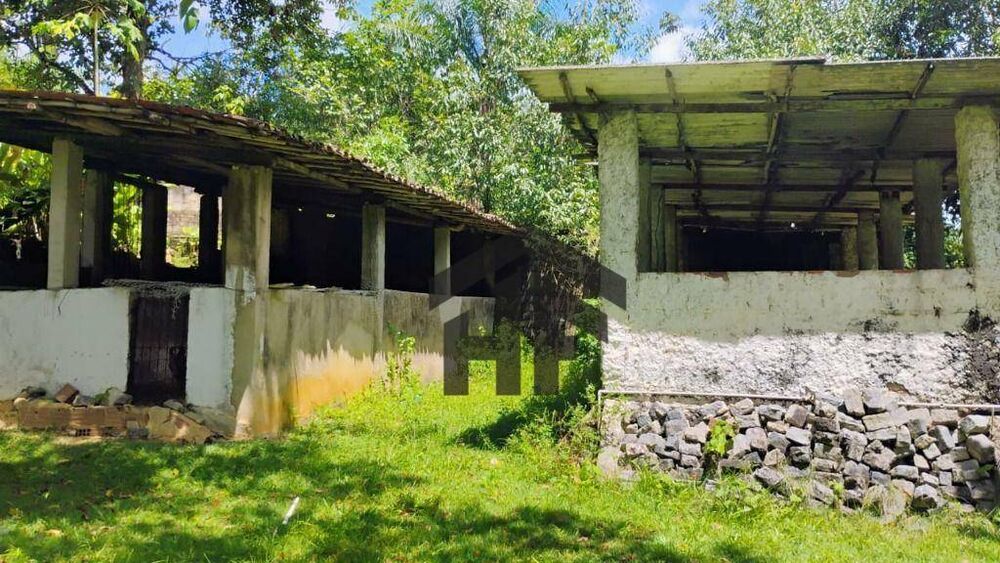 Chácara à venda com 4 quartos, 30000M2 - Foto 1
