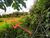 Terreno, 7012 hectares - Foto 2