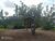 Terreno, 694 m² - Foto 11