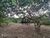 Terreno, 694 m² - Foto 8