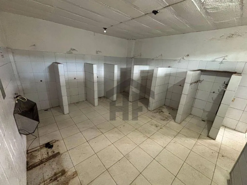 Depósito-Galpão, 1200 m² - Foto 4