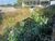 Terreno, 623 m² - Foto 3