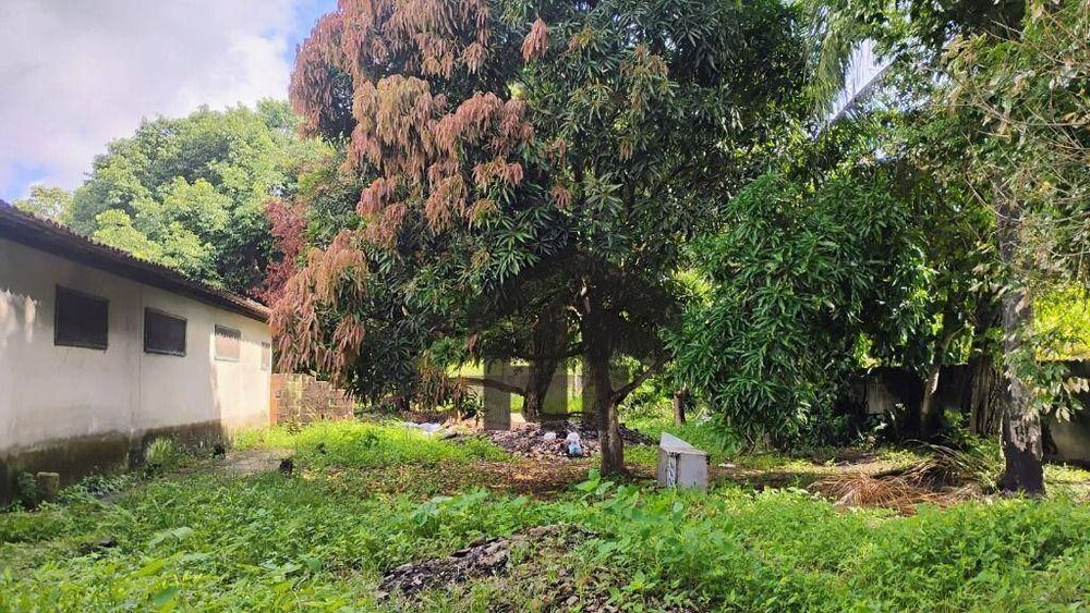 Casa, 7 quartos, 827 m² - Foto 12