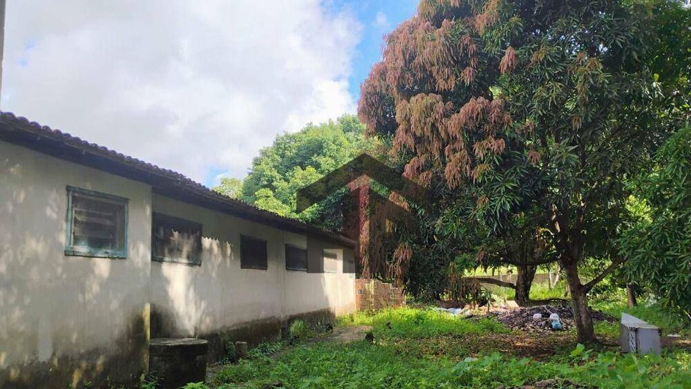 Casa, 7 quartos, 827 m² - Foto 3