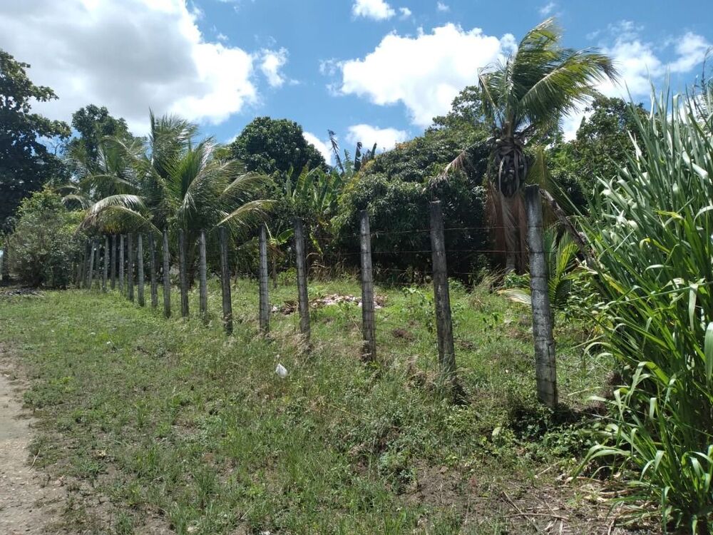 Terreno, 3000 m² - Foto 2