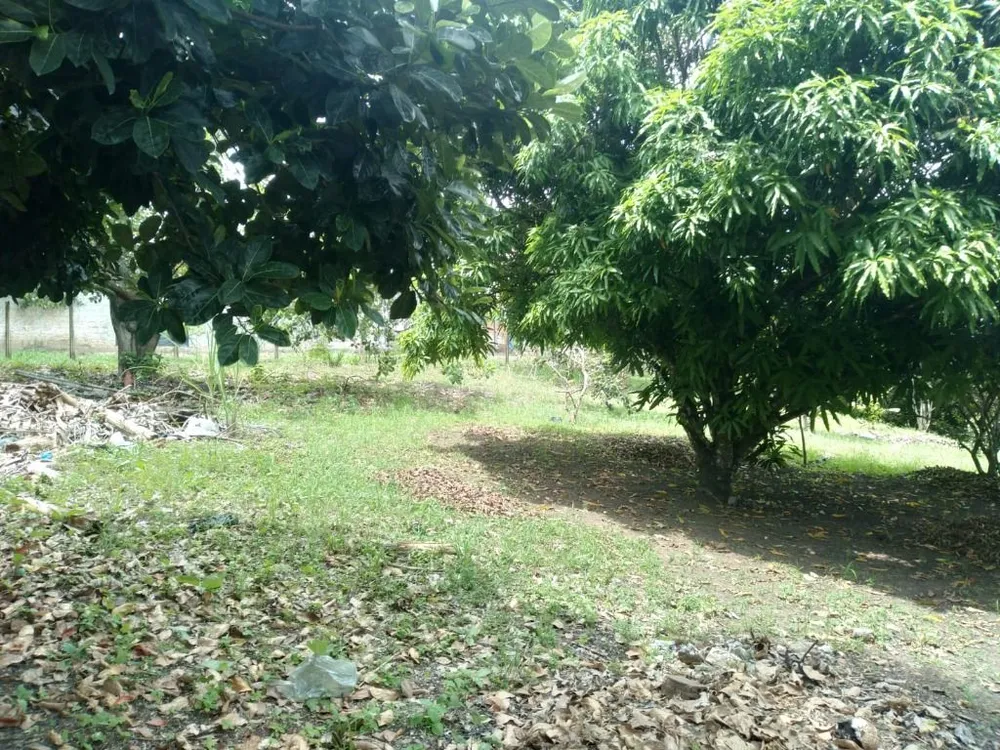 Terreno, 3000 m² - Foto 16