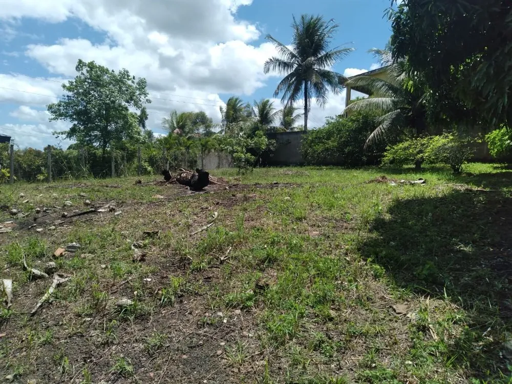 Terreno, 3000 m² - Foto 1
