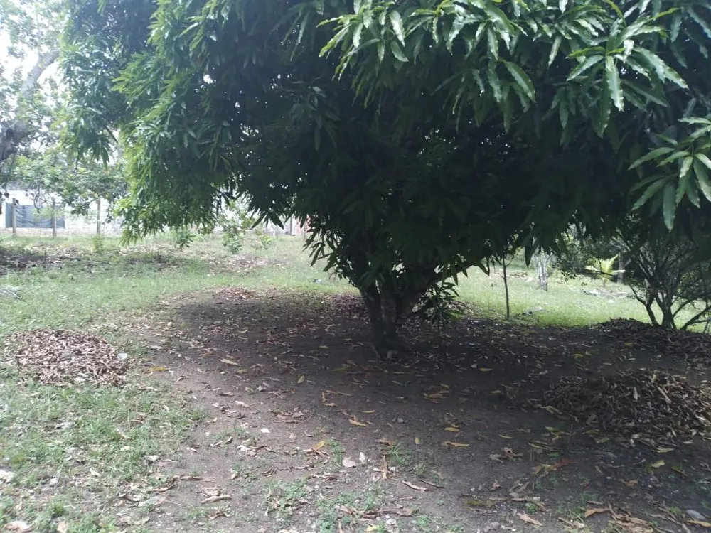 Terreno, 3000 m² - Foto 19