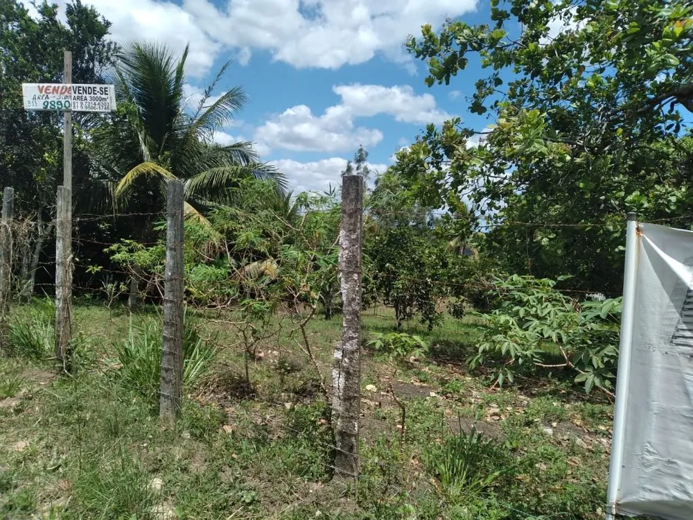 Terreno, 3000 m² - Foto 8