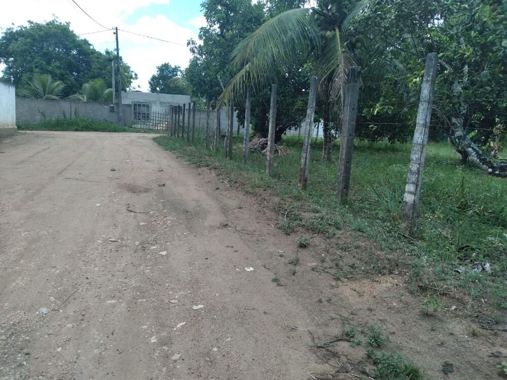 Terreno, 3000 m² - Foto 4