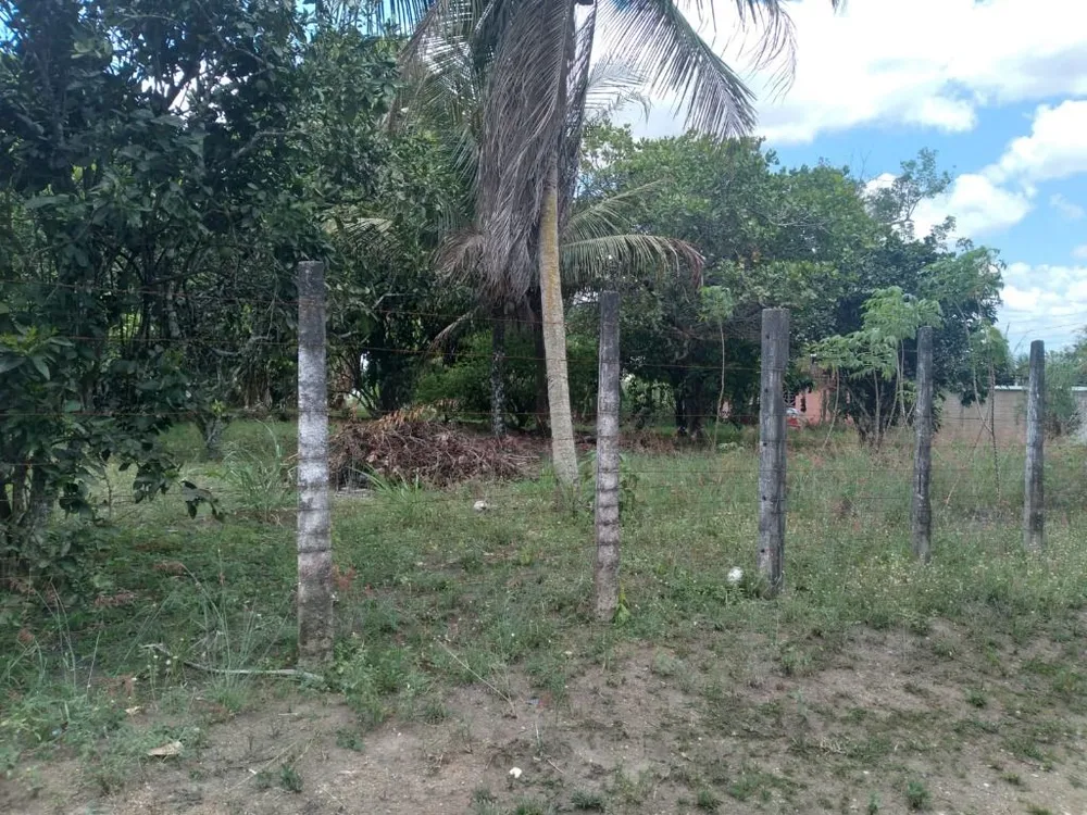 Terreno, 3000 m² - Foto 12
