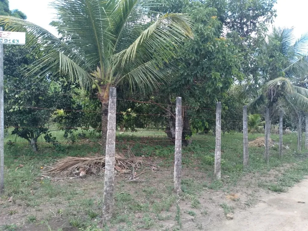 Terreno, 3000 m² - Foto 10