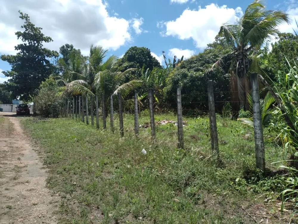 Terreno, 3000 m² - Foto 7