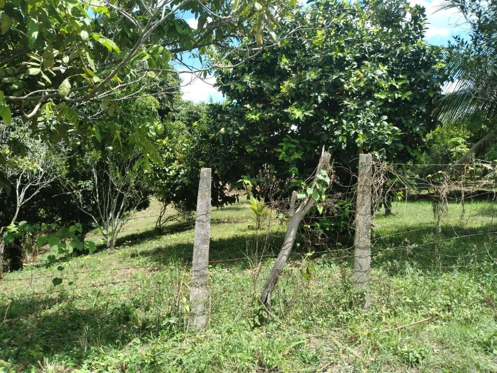 Terreno, 3000 m² - Foto 3