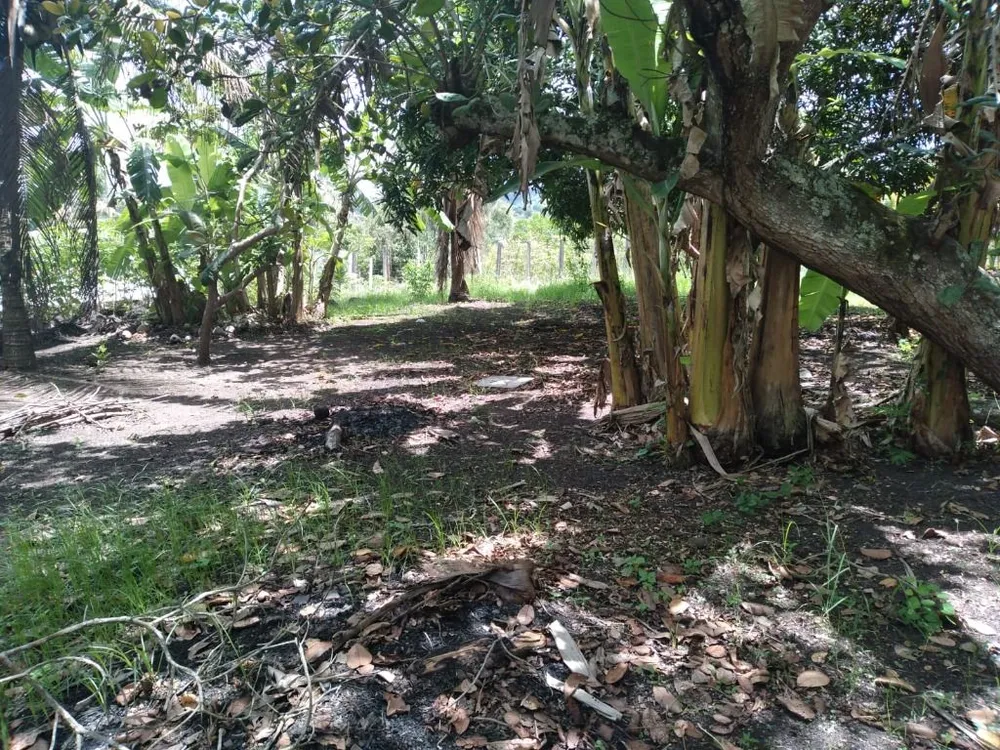 Terreno, 3000 m² - Foto 5