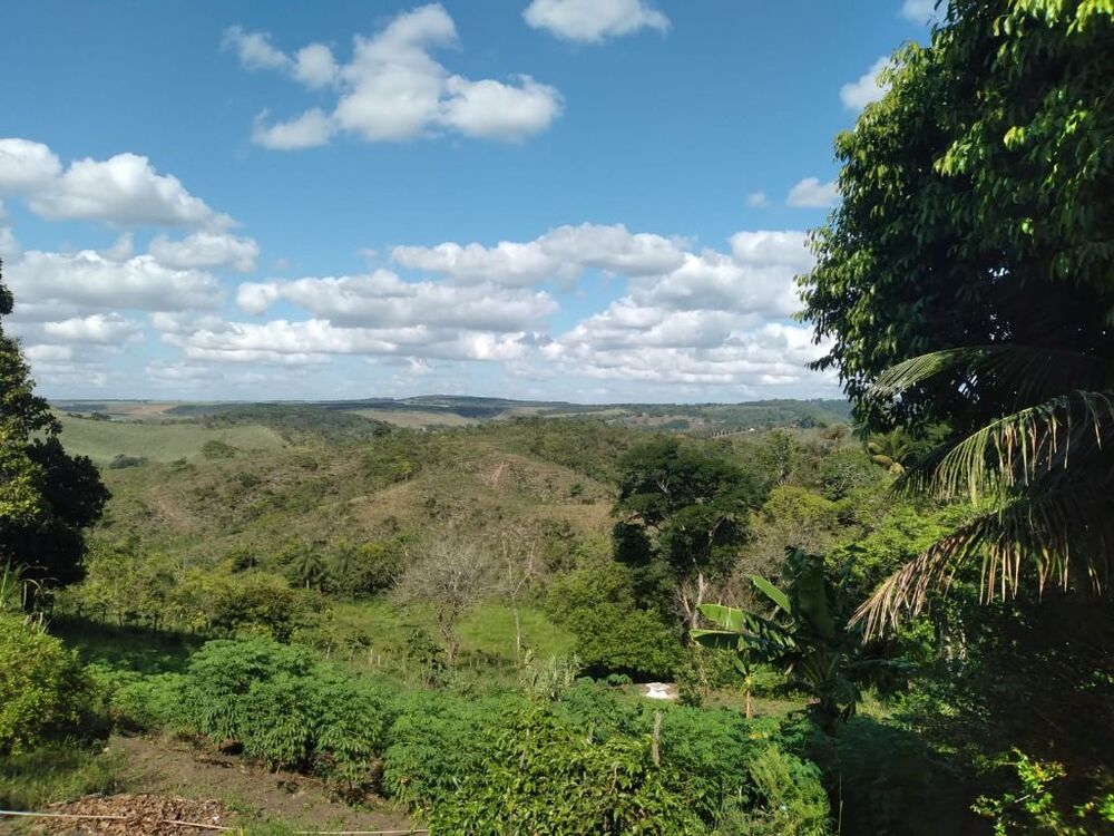 Terreno, 3000 m² - Foto 5