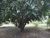 Terreno, 3000 m² - Foto 1