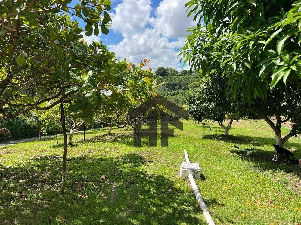 Chácara, 5 quartos, 10000 m² - Foto 19