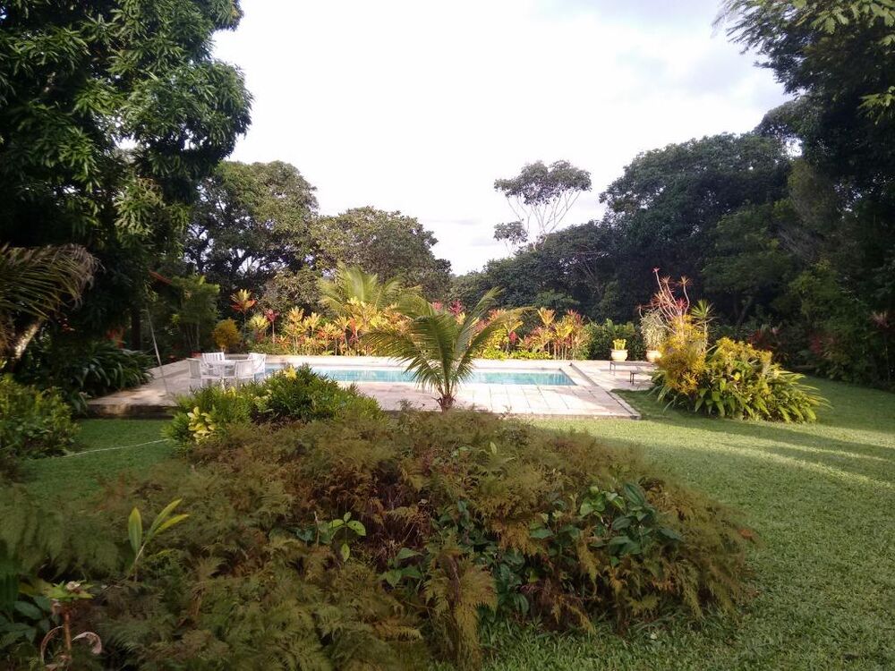 Chácara, 3 quartos, 3992 m² - Foto 3