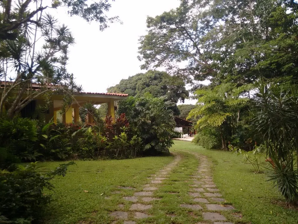 Chácara, 3 quartos, 3992 m² - Foto 10
