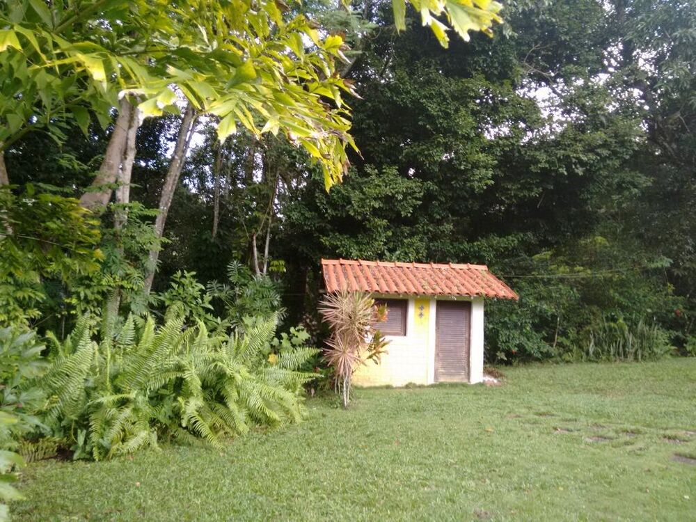 Chácara, 3 quartos, 3992 m² - Foto 6