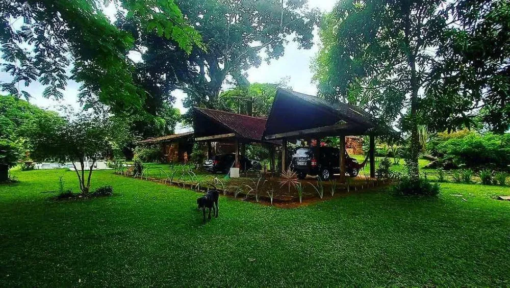 Chácara, 5 quartos, 9000 m² - Foto 14