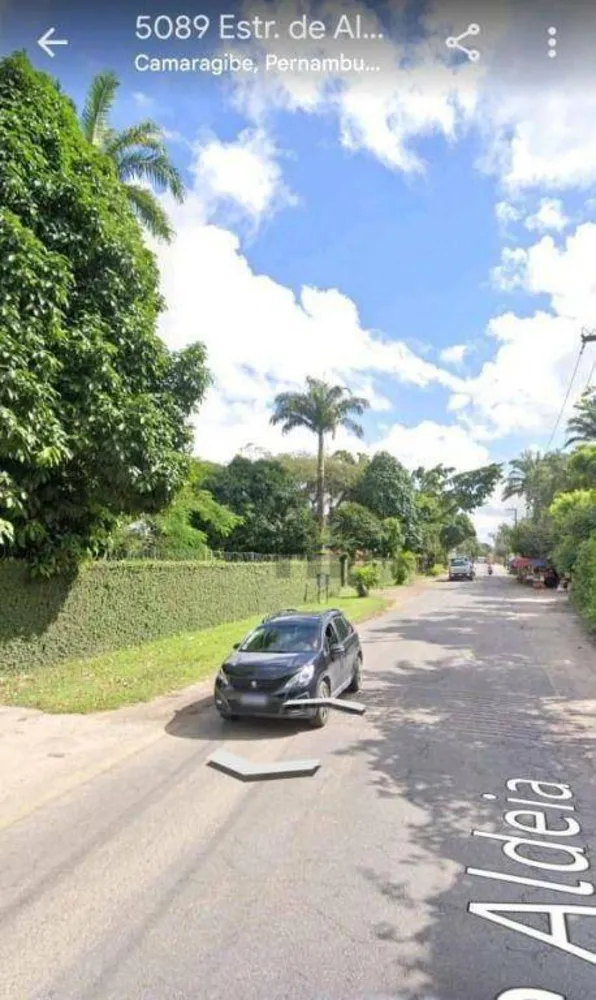 Chácara, 5 quartos, 9000 m² - Foto 3