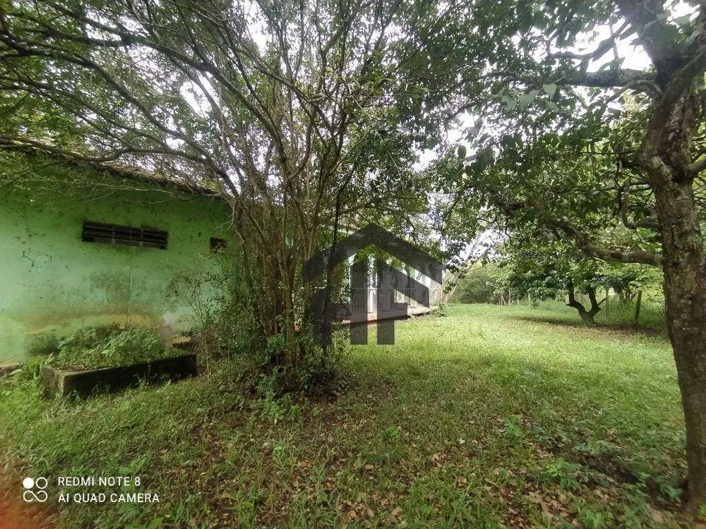 Sítio, 4 quartos, 4 hectares - Foto 14