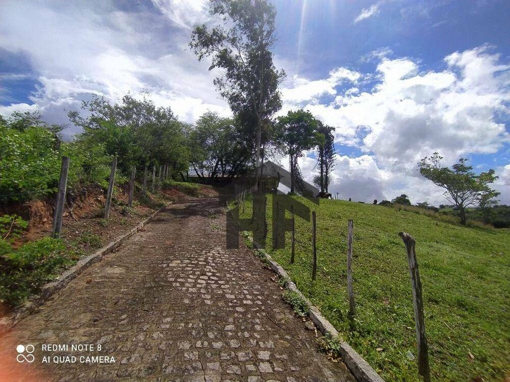 Sítio à venda com 4 quartos, 37000M2 - Foto 7